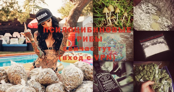 винт Касимов