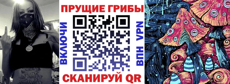 Псилоцибиновые грибы мухоморы Грайворон