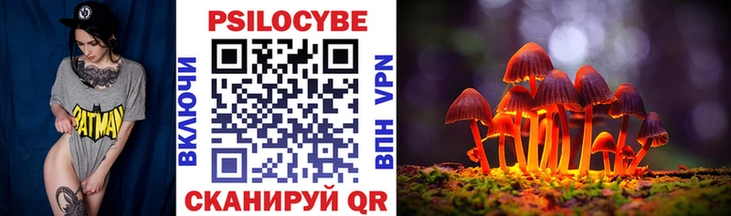 Галлюциногенные грибы MAGIC MUSHROOMS Купить закладки Грайворон